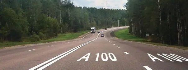 Что обозначает разметка А100, нанесенная на проезжую часть дороги?